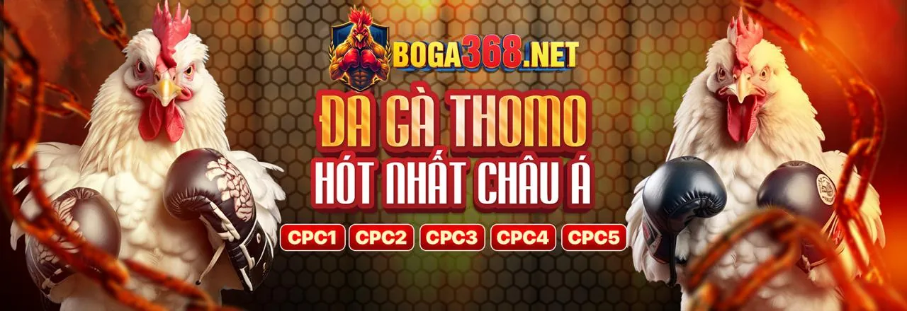 Truy cập độc quyền các trận đá gà cựa dao
